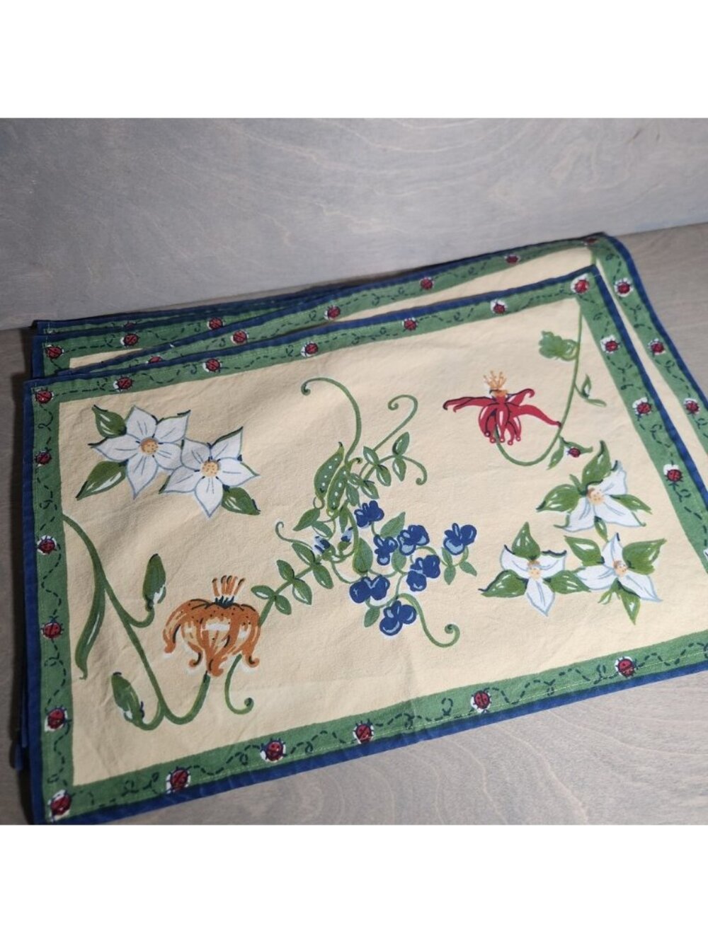 Y2k‎ Dazca Set of 5 Cotton Placemats Floral Ladybug Blue Green Yellow Kitchen
